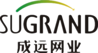 Hefei  Grand Nets Co.,Ltd