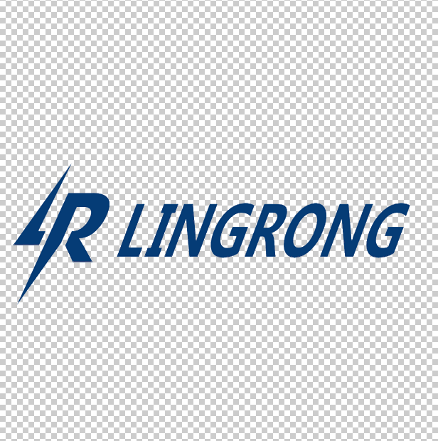 LING RONG new energy technology(Shanghai) Co., Ltd