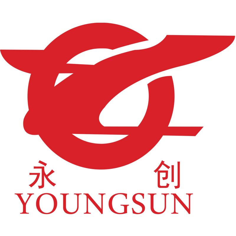 Hangzhou Youngsun Intelligent Equipment Co.,Ltd