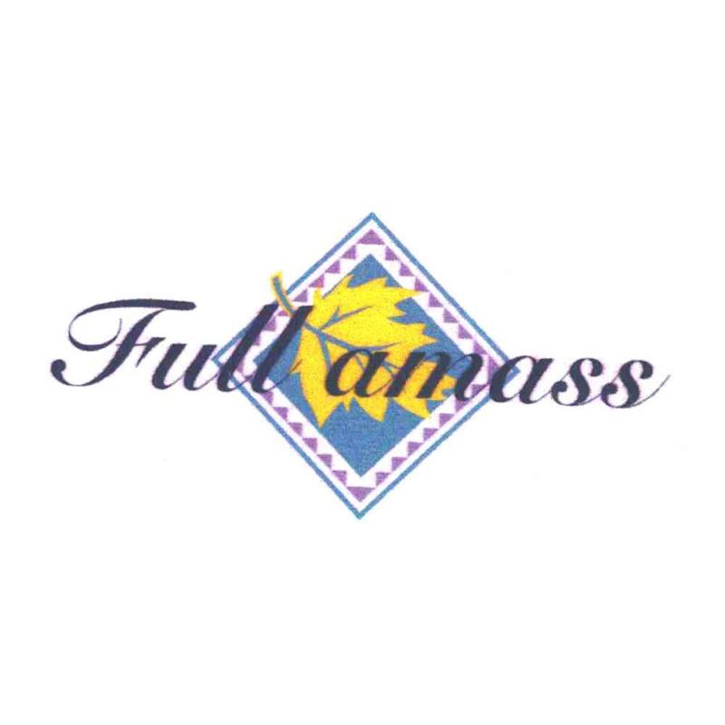 SHENZHEN FULLAMASS IND.DEV.CO.,LTD.