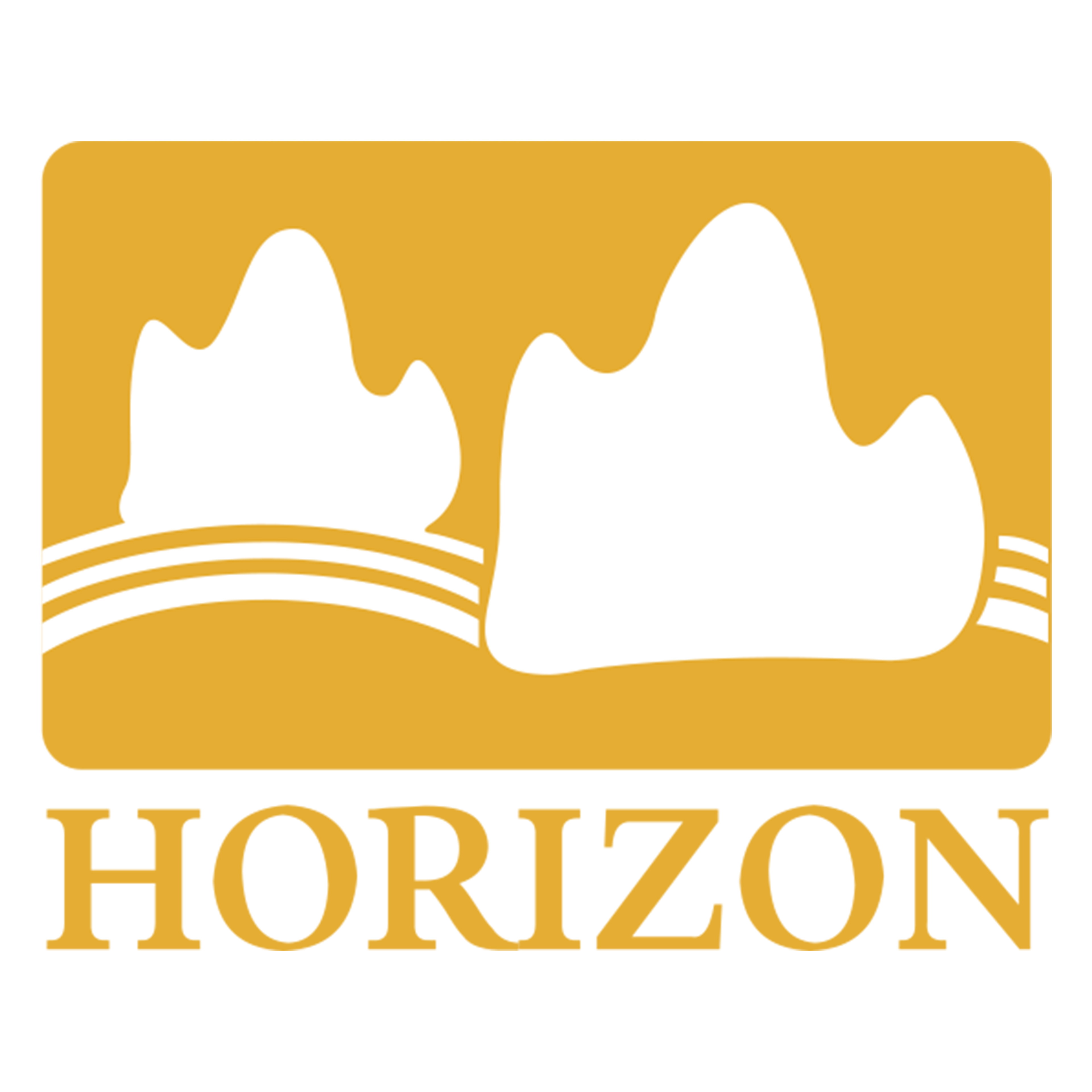 HORIZON (TIANJIN) INDUSTRIAL CO., LTD