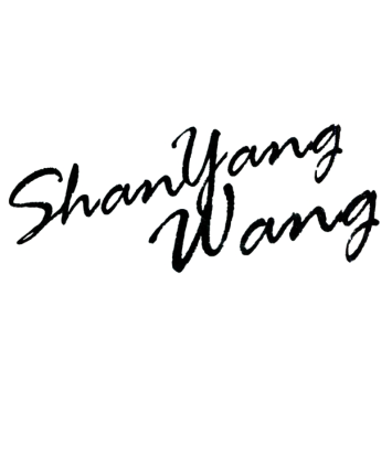 INNER MONGOLIA SHAN YANG WANG CASHMERE CO.,LTD