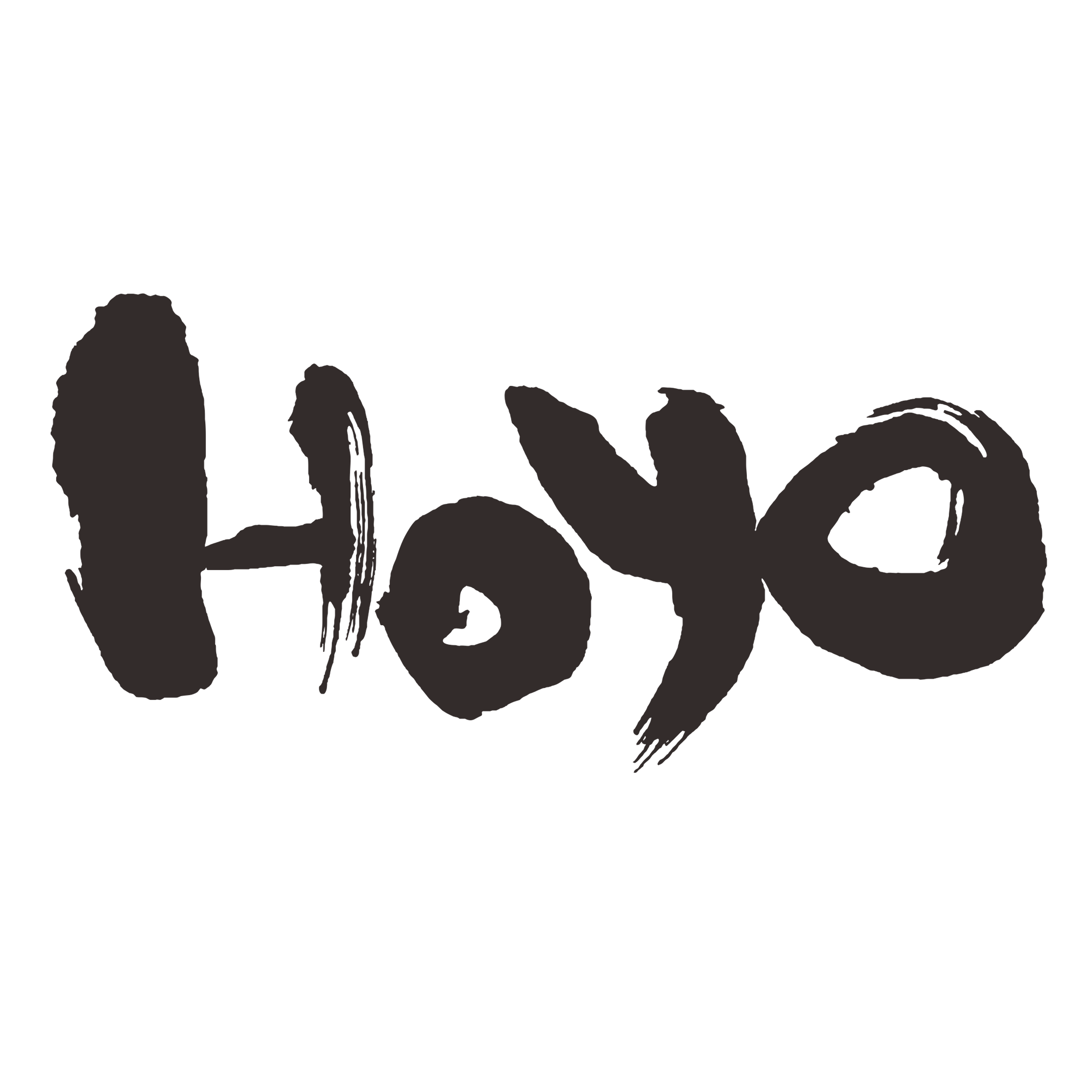 HOYO INDUSTRIAL CO.,LTD