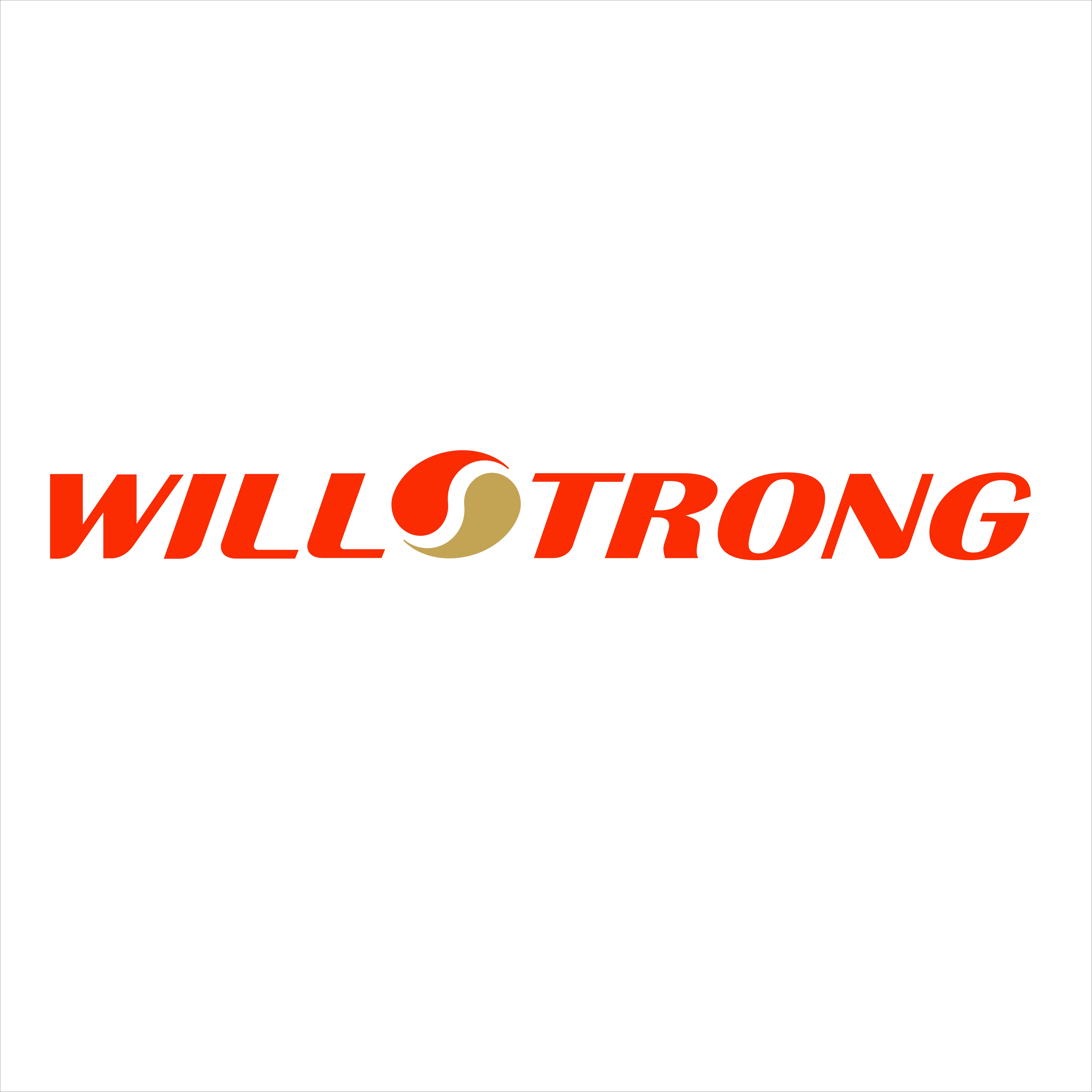 Guangzhou Willstrong New Material Holding Co.,Ltd