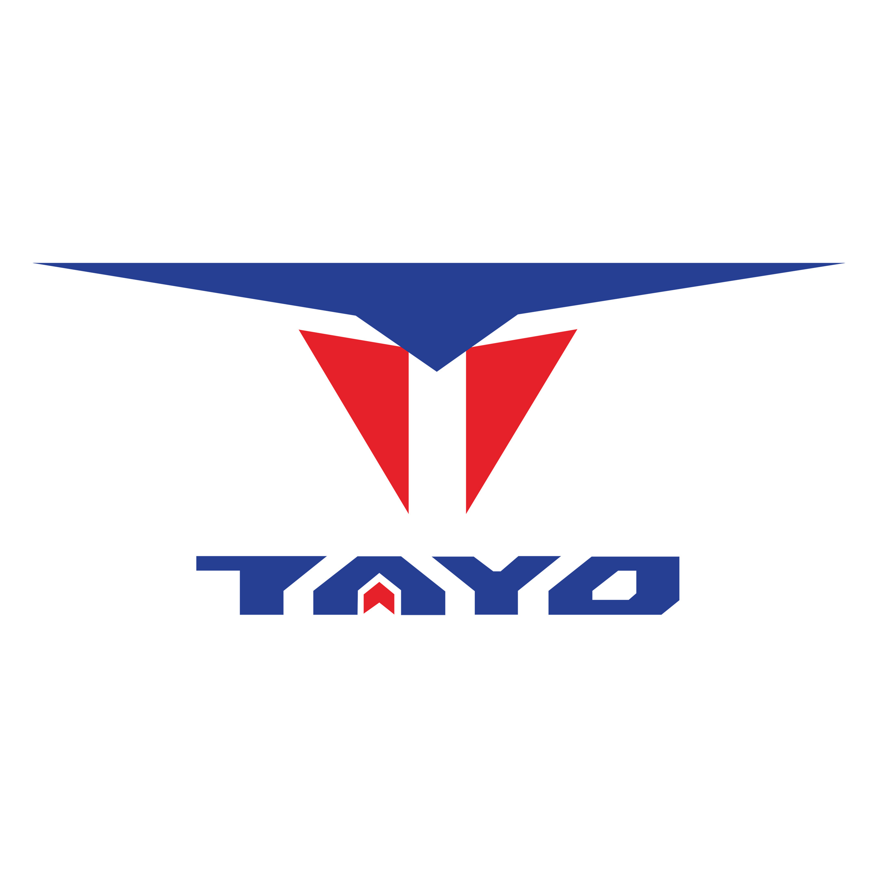 GUANGDONG TAYO MOTORCYCLE TECHNOLOGY CO.,LTD.