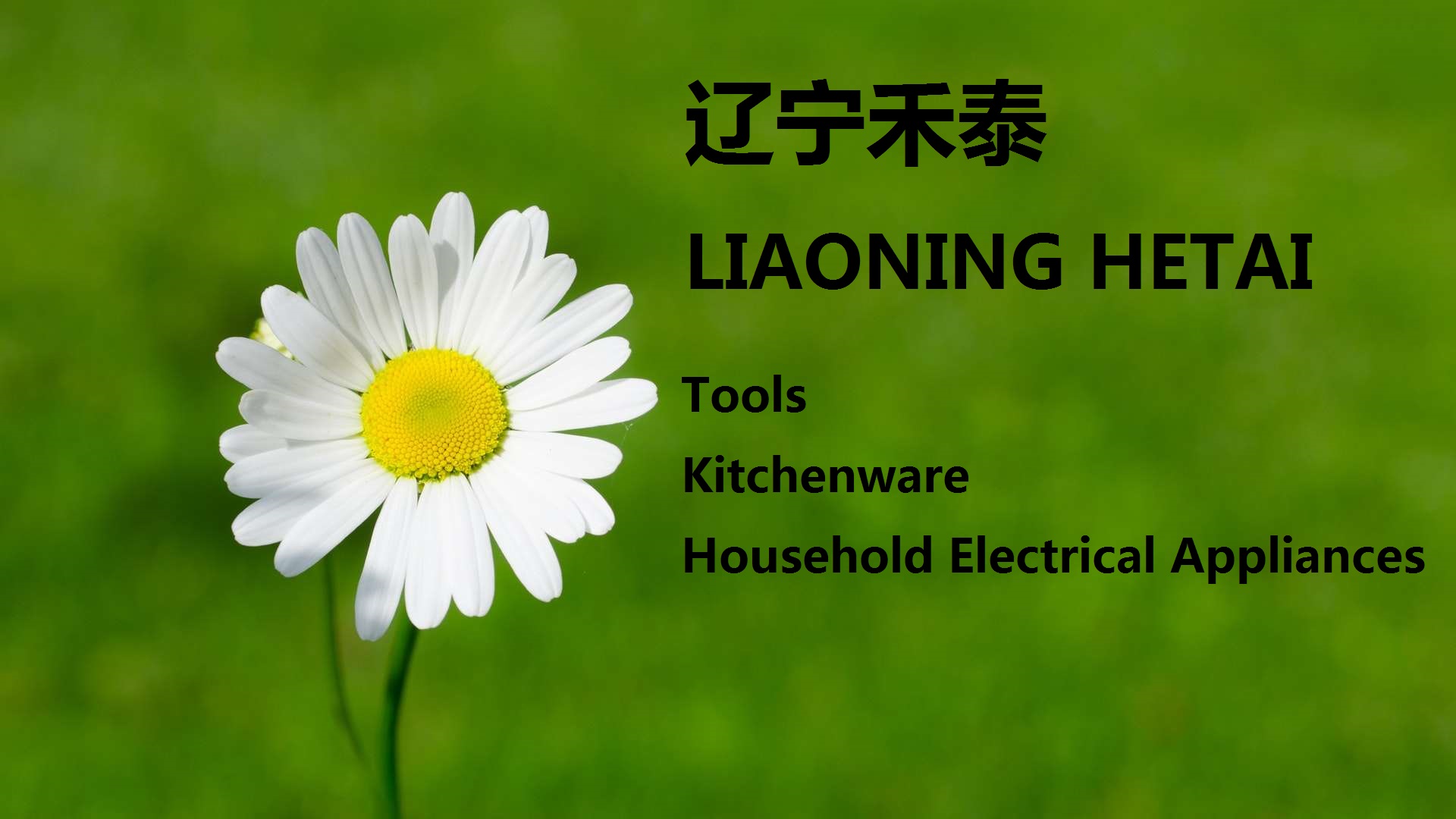 Liaoning hetai Environmental service co.,ltd.