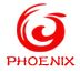 linyi phoenix international enterprises ltd.