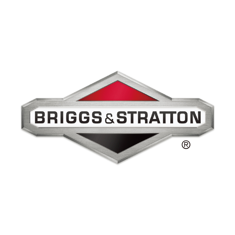 Briggs & Stratton (Shanghai) International Trading Co., Ltd.