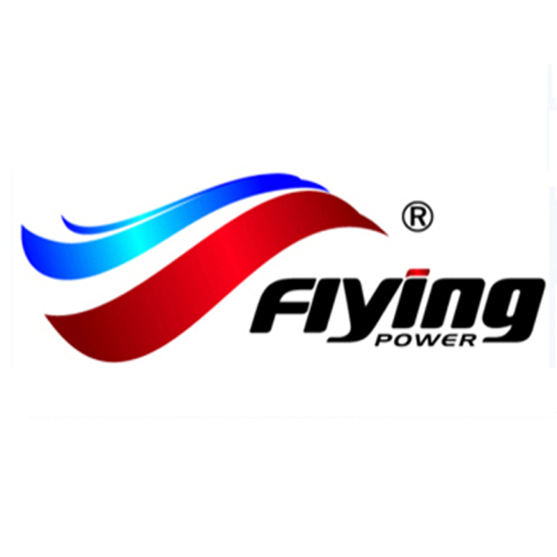 Flying Power(JiangXi)Co.,Ltd