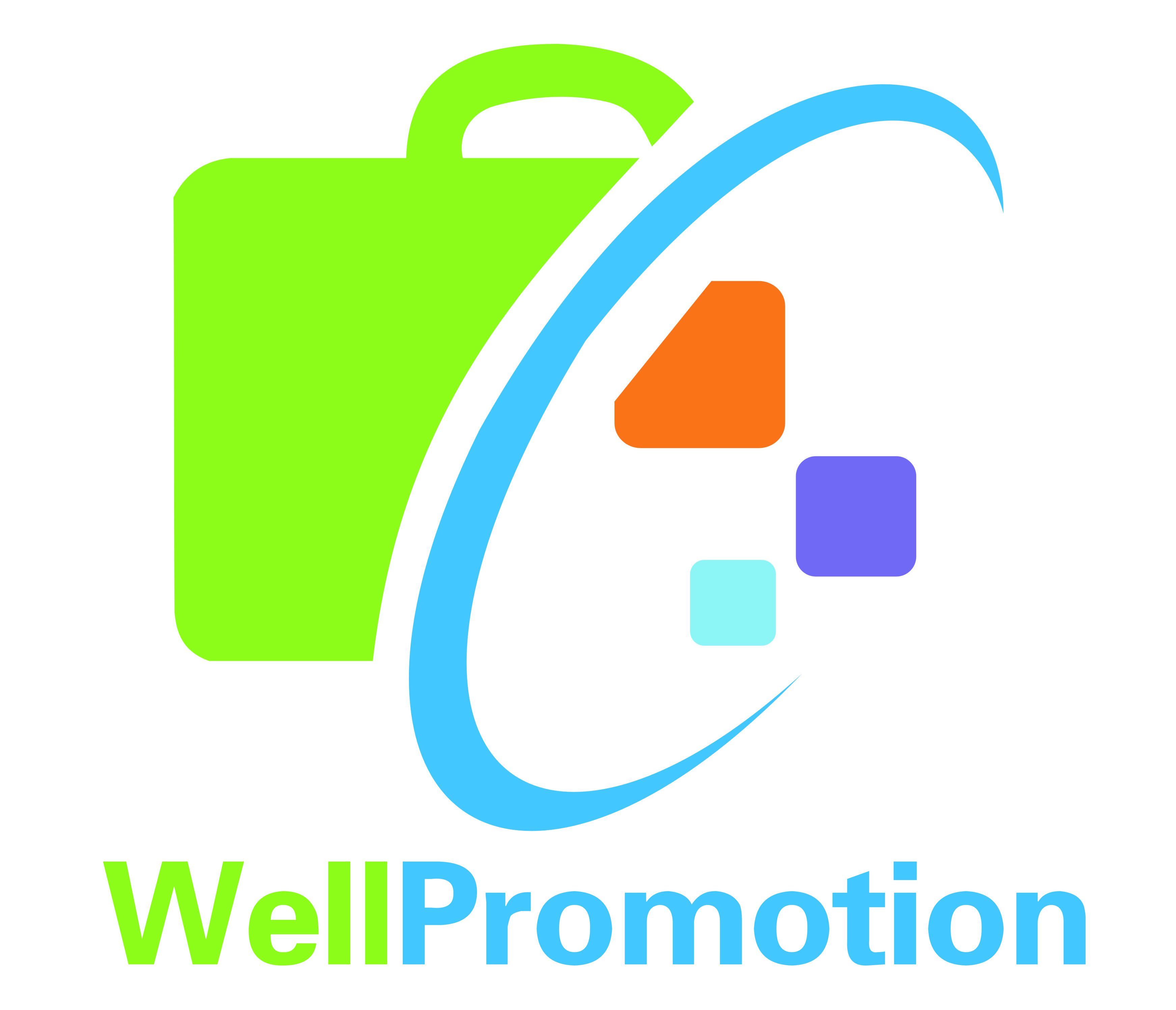 Anhui Wellpromotion Import and Export Co., Ltd.