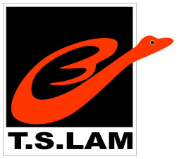T.S.LAM(QINGXIN)METAL AND PLASTIC PRODUCT CO.LTD