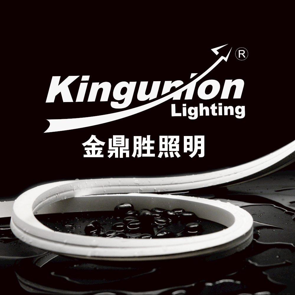Shenzhen Kingunion Lighting Co., LTD.