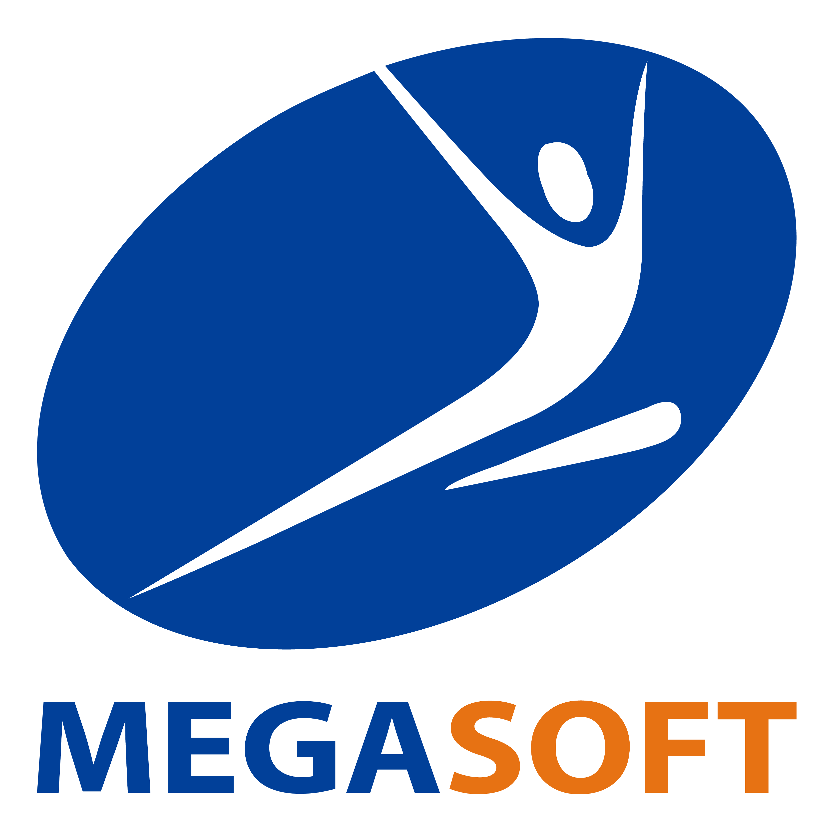 MEGA SOFT (CHINA) CO ., LTD