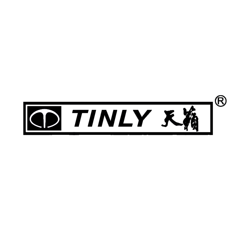 TINLY(JIE AYNG )HI-TECH ELECTRONICS CO.,LTD