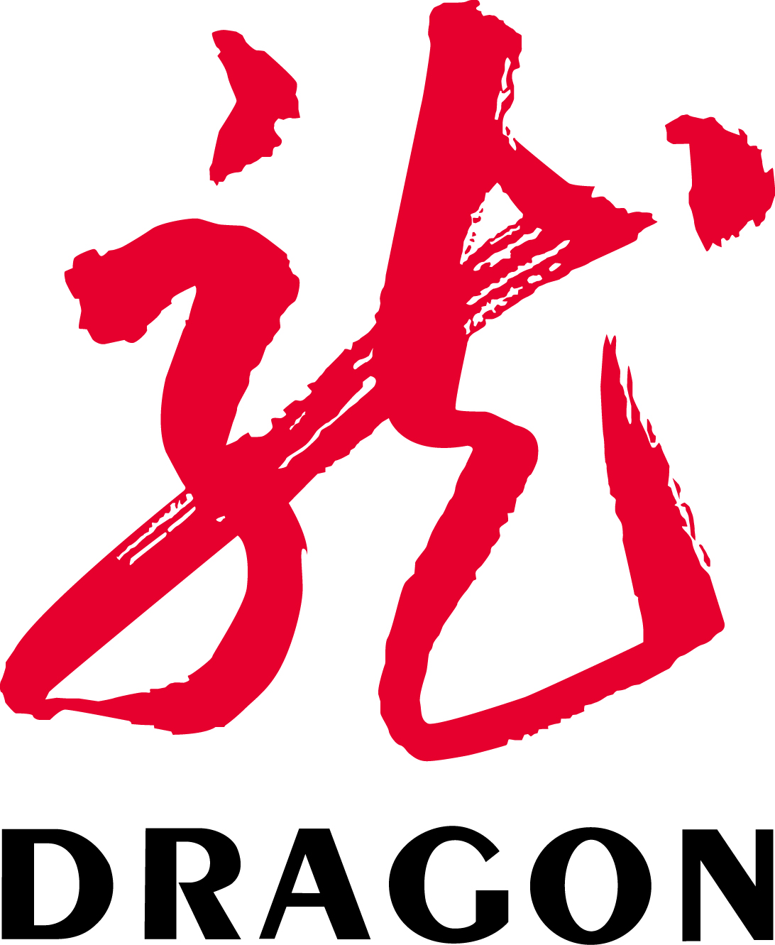 SHANGHAI DRAGON CO.,LTD.