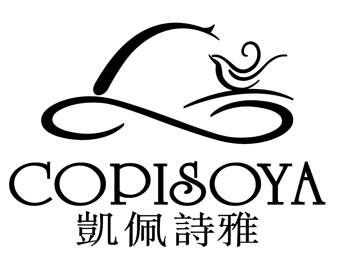 ZHEJIANG COPISOYA INDUSTRY AND TRADE CO., LTD